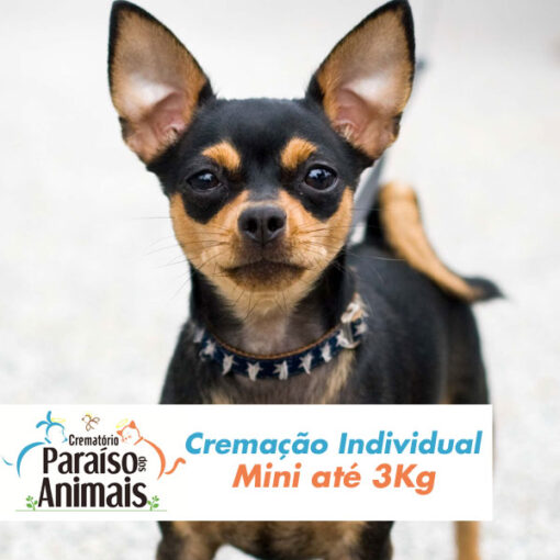 Cremação Individual Mini