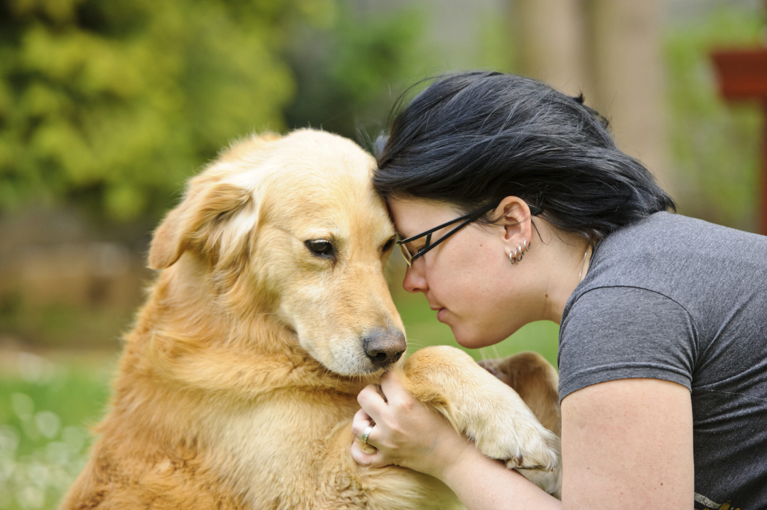 faire-garder-son-animal Veja 10 cuidados básicos com os animais de estimação