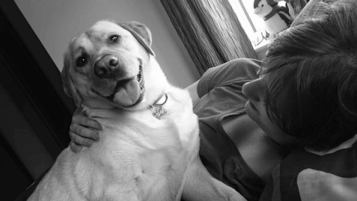 o-amor-de-um-cao-dono O gesto de amor de um cão para salvar a vida de sua dona