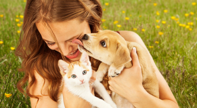 cane-e-gatto-657×360 Dez diferenças interessantes entre Cães e Gatos