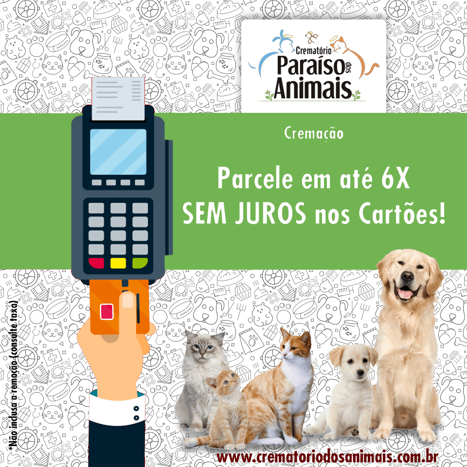 Funerária Pet Jundiaí | Serviços para animais de estimação Funerária Pet Jundiaí | Serviços para animais de estimação